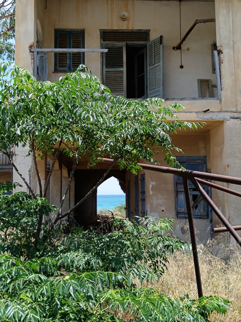 Kasvillisuuden peittämiä raunioita. 